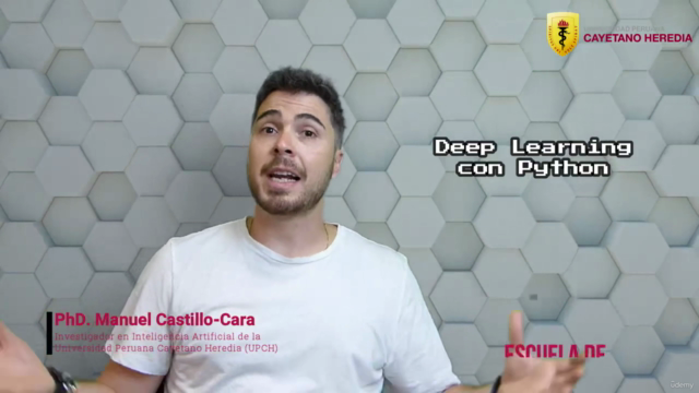 Máster Especialista de Deep Learning en Python con PyTorch – Screenshot 2