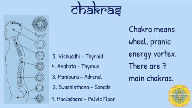 Mudras: A Complete Guide - Yoga Alliance YACEP – Screenshot 4