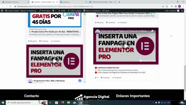 Universidad de Elementor Pro, ¡Desde Cero Hasta Experto! – Screenshot 4