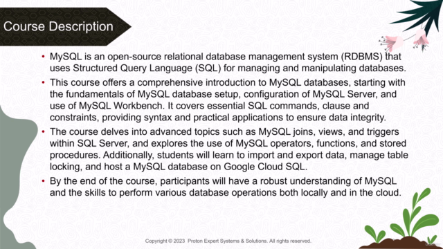Learn MYSQL with Examples (Jul 2024) – Screenshot 1