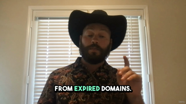 Traffic Arbitrage Mastery: Profiting from Expired Domains – Screenshot 1