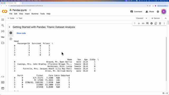 Python for Data Science: From Zero to Data Analysis – Screenshot 2