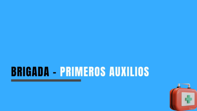Primeros auxilios – Screenshot 1