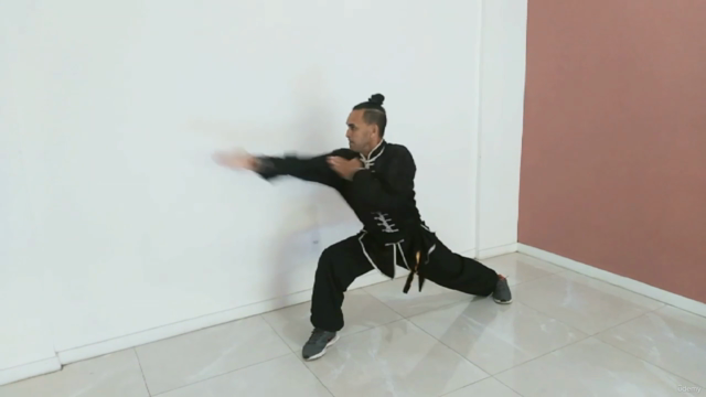 Combinações Básicas do Kung Fu Garra de Águia – Screenshot 4