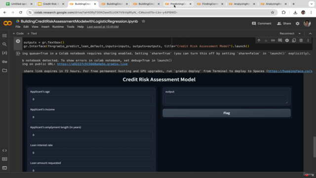Credit Risk Modelling & Credit Scoring with Machine Learning – Screenshot 2