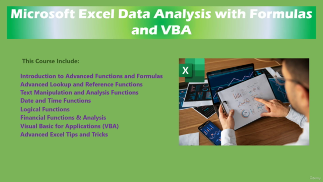 Microsoft Excel Data Analysis with Formulas and VBA – Screenshot 1