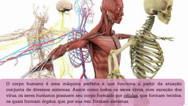 O Verso do Uno - A Redescoberta de Si – Screenshot 3