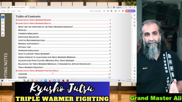 Kyusho Jutsu Triple Warmer Fighting – Screenshot 1