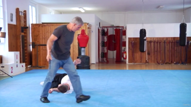 Selbstverteidigung für Frauen Vol.2 Methode Krav Maga – Screenshot 4