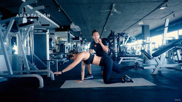 Entrenador Personal: Master en Biomecánica de Fuerza fitness – Screenshot 2