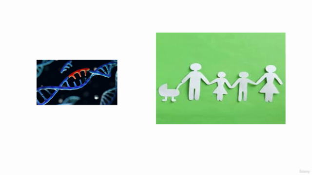 DNA Mutation & Genetic Disorders – Screenshot 4