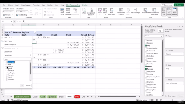Data Analysis in Excel & VBA [Complete Course 2025] – Screenshot 1