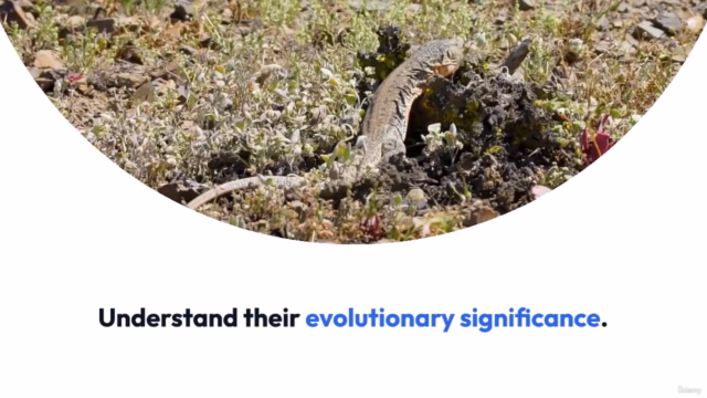 Ethology for veterinerian an introduction – Screenshot 1