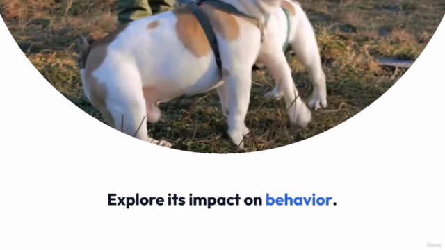 Ethology for veterinerian an introduction – Screenshot 2
