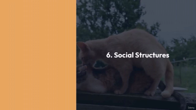 Ethology for veterinerian an introduction – Screenshot 3