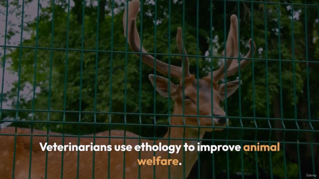 Ethology for veterinerian an introduction – Screenshot 4