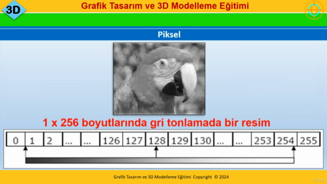 Grafik Tasarım ve 3D Modelleme Eğitimi – Screenshot 1
