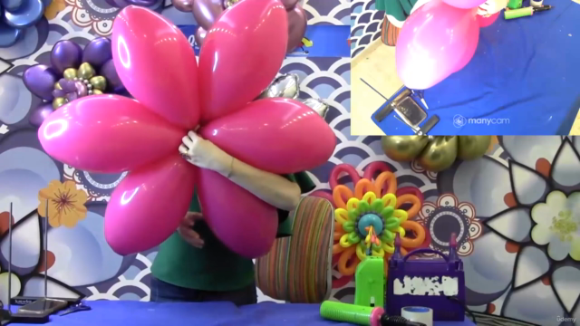 Master Class Balloons Flores del bosque – Screenshot 3