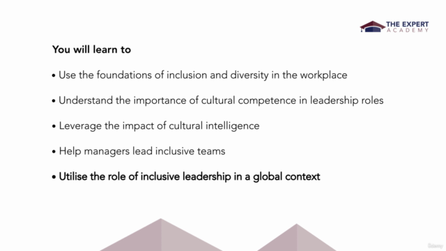Foundations Of Inclusive Leadership – Screenshot 3
