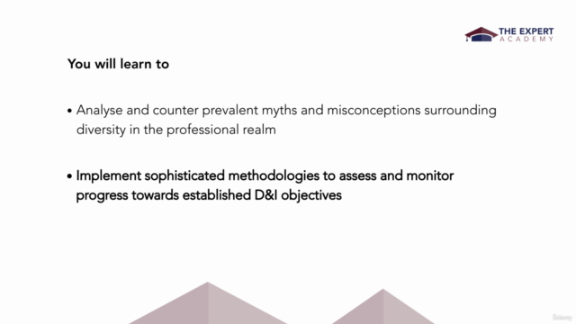 Strategic Diversity And Inclusion Management – Screenshot 3