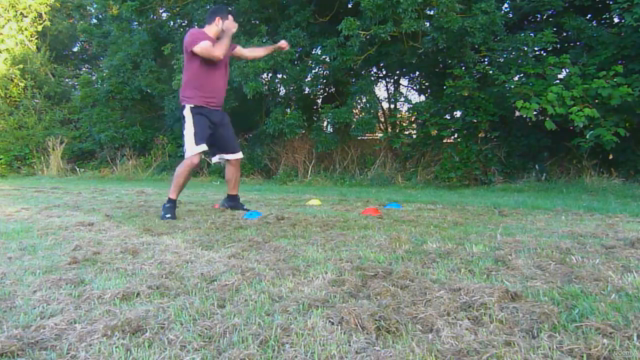 Boxing Prodigy Develop an Elite Fighter Course Masterclass – Screenshot 2