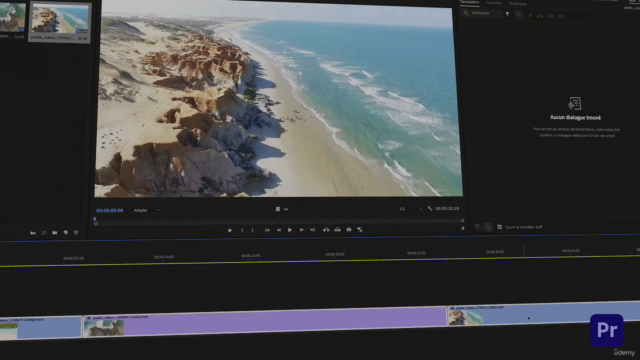 Premiere Pro : Maitrisez le montage Vidéo – Screenshot 3