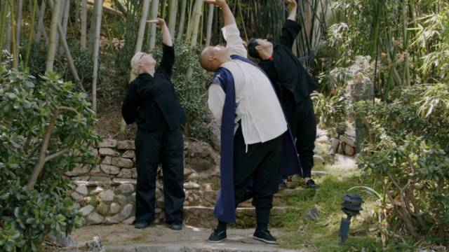 Shaolin Qigong | Seated Forms by Master Shi Yanxu – Screenshot 2