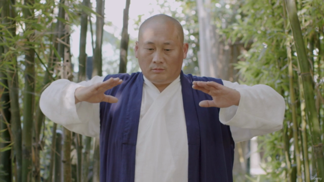Shaolin Qigong | Seated Forms by Master Shi Yanxu – Screenshot 4