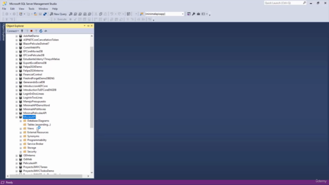 Building Applications with Angular 19 and ASP.NET Core 9 – Screenshot 3