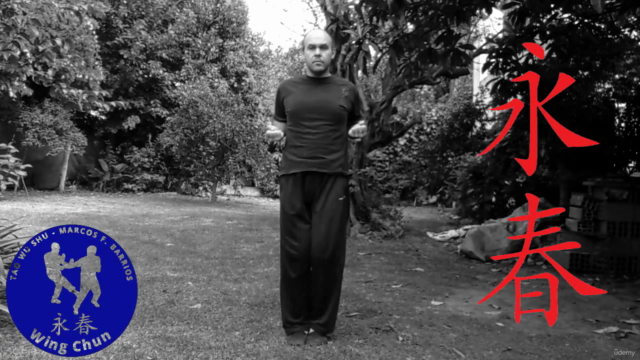 Chum Kiu Tao - 2da Forma de Wing Chun Kung Fu – Screenshot 3