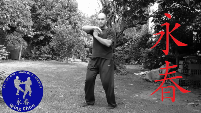 Chum Kiu Tao - 2da Forma de Wing Chun Kung Fu – Screenshot 4