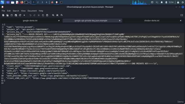Breaking APIs: An Offensive API Pentesting Course – Screenshot 2