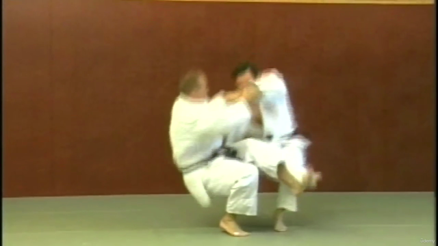 Judo - Die 4 Wurffamilien im Detail – Screenshot 1