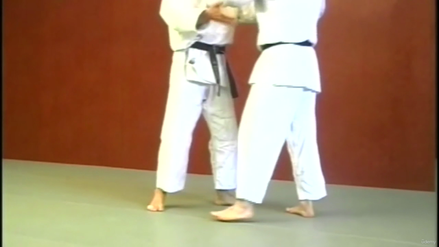 Judo - Die 4 Wurffamilien im Detail – Screenshot 3
