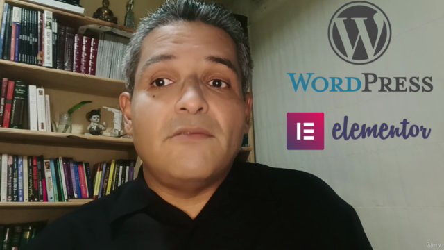 Wordpress Guia practica para dueños de sitios web (Facil) – Screenshot 3