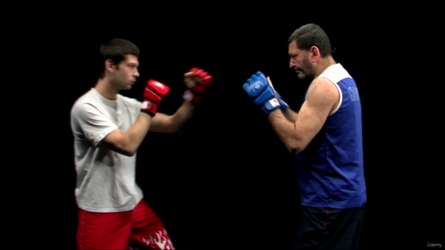 Die Kampftechniken des Sambo & MMA Vol.1 – Screenshot 2