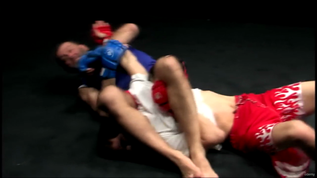 Die Kampftechniken des Sambo & MMA Vol.1 – Screenshot 4