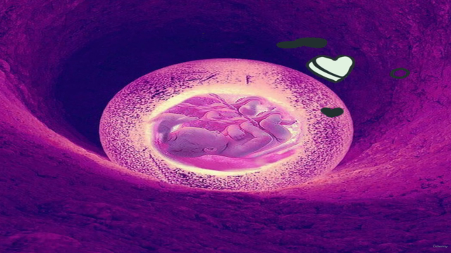 Herramientas para vivir una gestación consciente – Screenshot 1