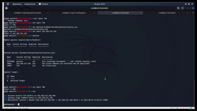 Cybersécurité Offensive & Hacking Éthique(black hat) en 2024 – Screenshot 1