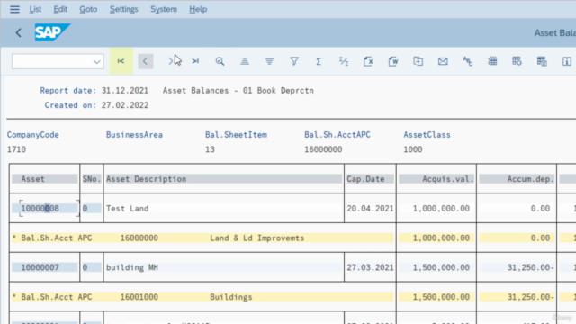 SAP S/4HANA Foundations - Intermediate Skills – Screenshot 1