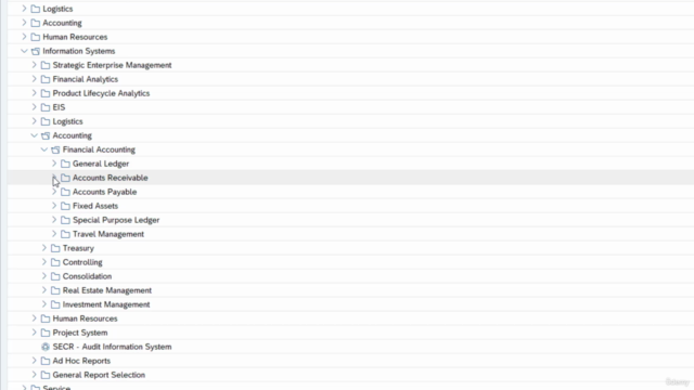 SAP S/4HANA Foundations - Basic Reporting – Screenshot 1
