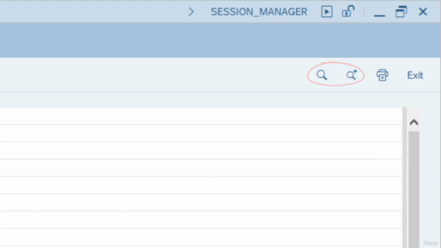 SAP S/4HANA Foundations - Basic Navigation – Screenshot 3