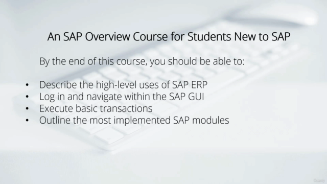 SAP Fundamentals for Beginners – Screenshot 2