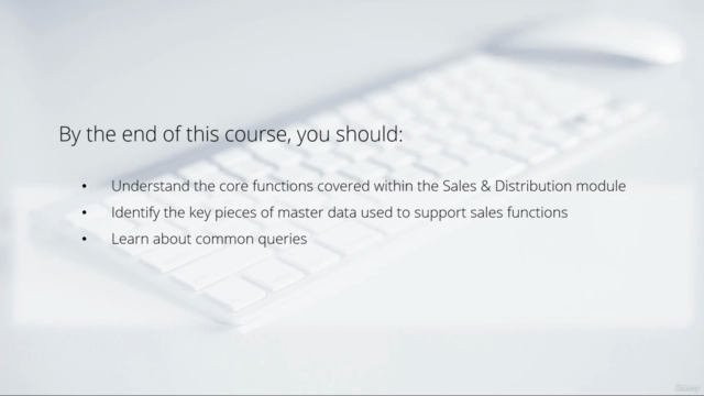 SAP SD Fundamentals for Beginners – Screenshot 1