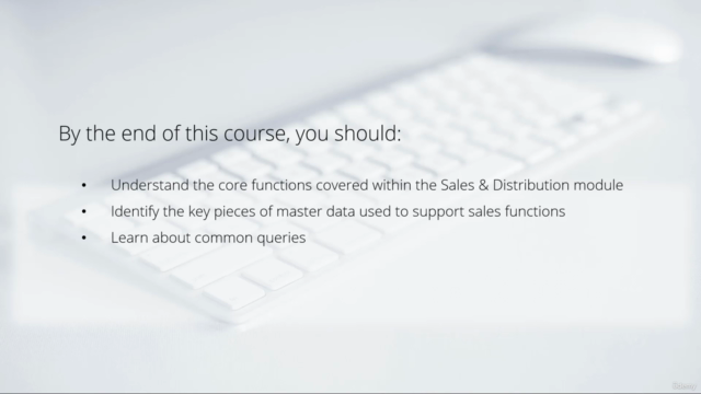 SAP SD Fundamentals for Beginners – Screenshot 2