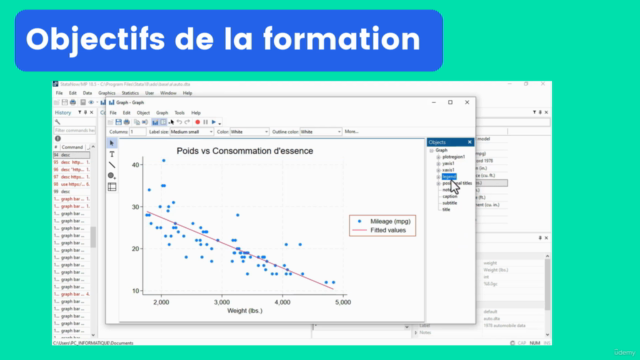 STATA de A à Z : De Débutant à Expert en Analyse Statistique – Screenshot 2
