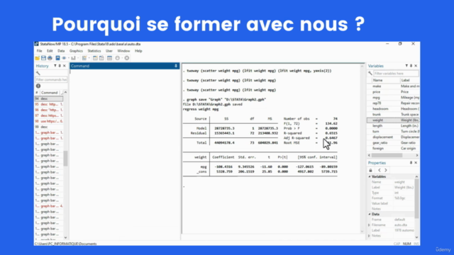 STATA de A à Z : De Débutant à Expert en Analyse Statistique – Screenshot 3