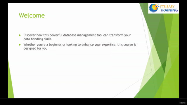 "Comprehensive Guide to Mastering Microsoft Access" – Screenshot 3