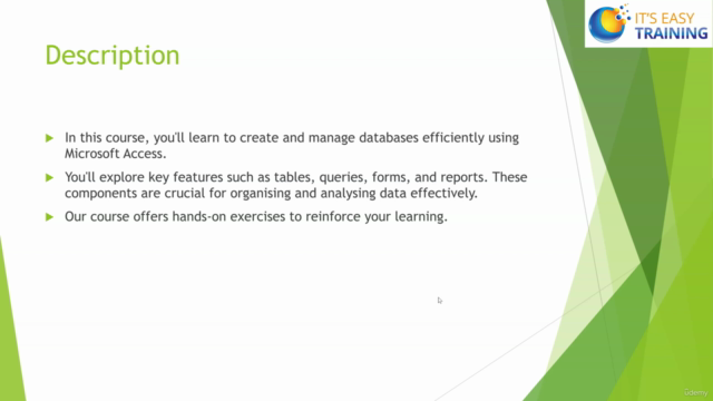 "Comprehensive Guide to Mastering Microsoft Access" – Screenshot 4