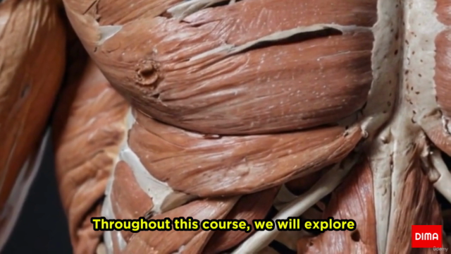 Anatomy Unlocked: Exploring the Musculoskeletal System – Screenshot 1